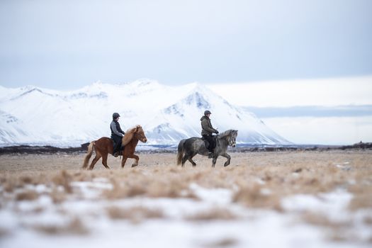 1,5h Trail Ride for All Levels — photo 9
