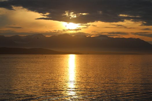 Akureyri Classic Whales in the Midnight Sun — photo 12