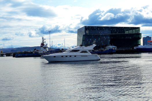 Whale Watching Cruise from Reykjavík — photo 26