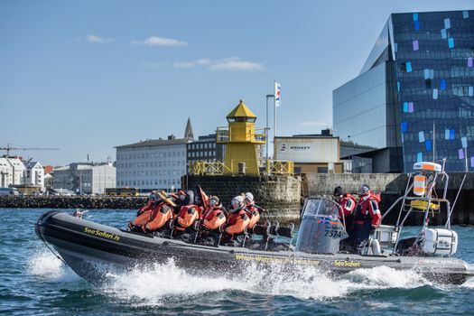 Reykjavík Premium Whale Watching — photo 16