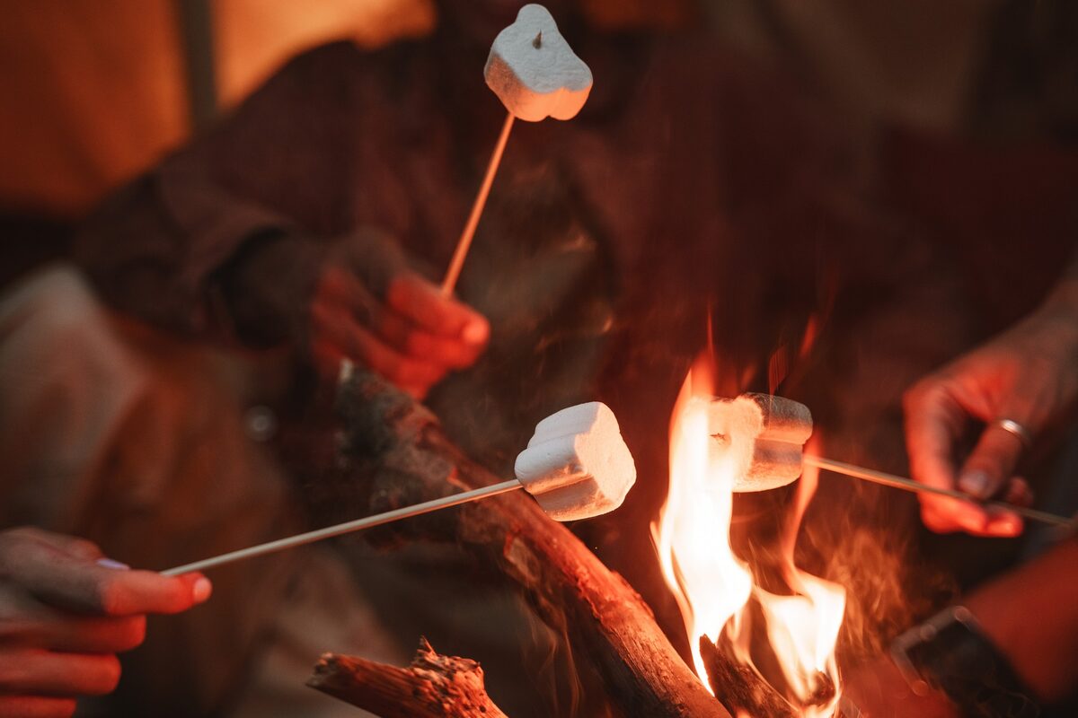 Aurora hunt with campfire, thermal suits & marshmallows — photo 9