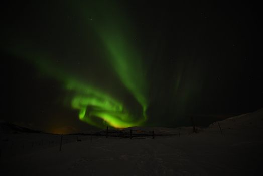 Private Northern Lights Tour from Reykjavik, With Photographs, and Hot Chocolate — photo 4