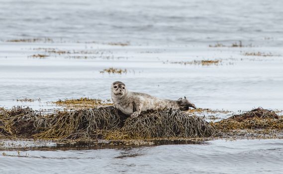 Snæfellsnes Peninsula | Private Tour | Photo Package Included — photo 4