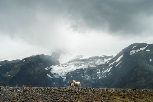Private Þórsmörk day hike — photo 7