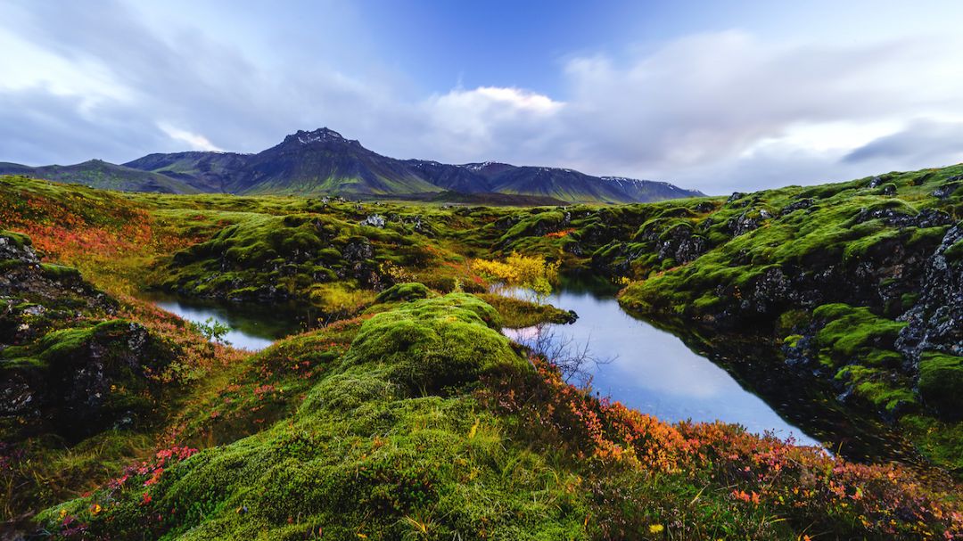 Day Trek beyond Seltun: A Vibrant Geothermal Wonderland, Mountains and Lakes, photo 4 of 6