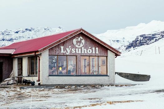 Snæfellsnes in Spanish with lunch included at a farm by minibus — photo 3