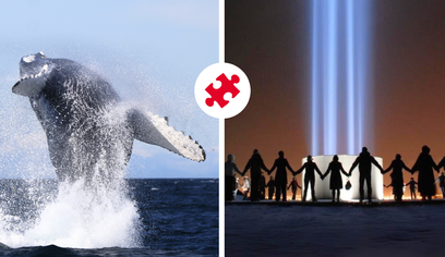 Reykjavík Whales & Imagine Peace Tower