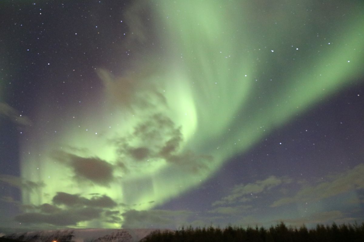 Lake Mývatn & Northern Ligths - Winter Combo, photo 14 of 15