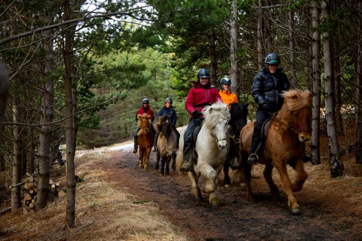 03C - Horses and Hot Springs — photo 4