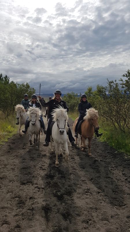 Volcanic Landscape – Riding Tour - afternoon tour, photo 5 of 8