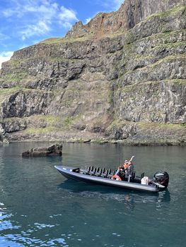 Puffin Quest — photo 21