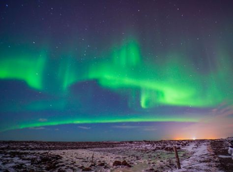 Northern Lights Tour from Reykjavik, With Photographs, Local Pastrys and Hot Chocolate — photo 3
