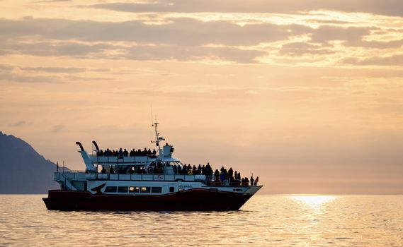 Akureyri Classic Whales in the Midnight Sun — photo 3