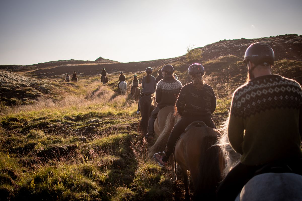 Viking Horses Sleipnir Evening Tour, photo 4 of 10