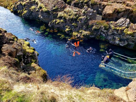 Snorkeling in Silfra -With Transfer from Reykjavík — photo 7