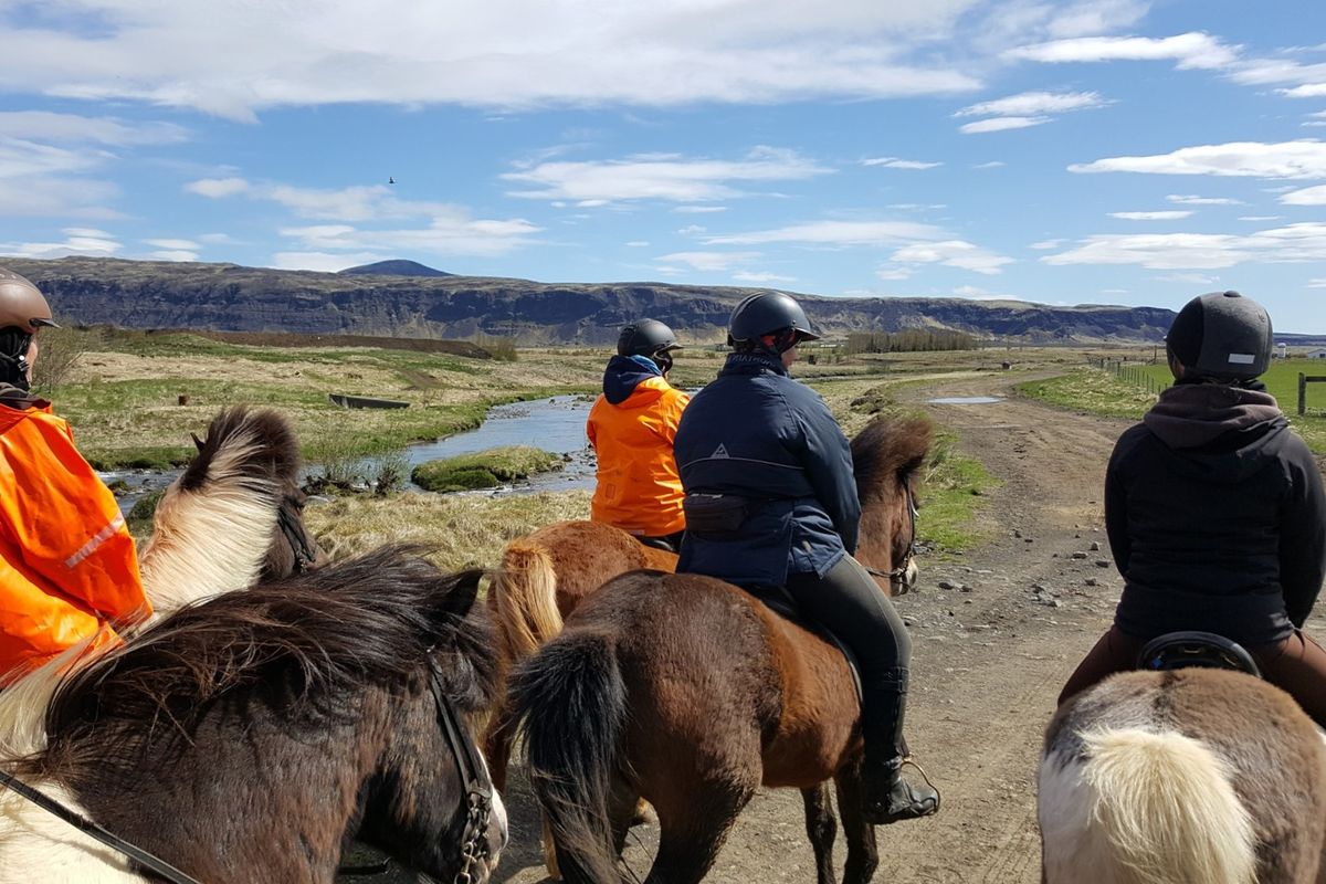 The Siggi Tour, photo 9 of 12