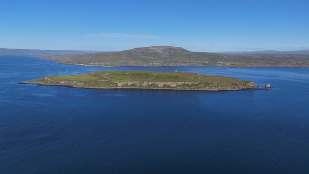 Grímsey Wildlife Tour — photo 9