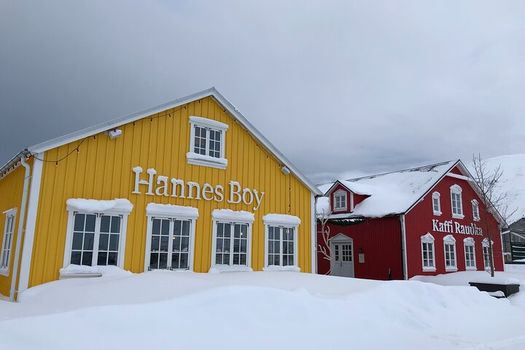 Arctic Coastline, Microbrewery and Culture Tour — photo 2
