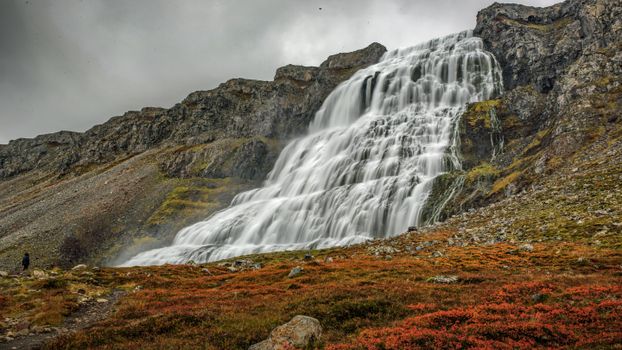 Dynjandi Waterfall & Farm Tour from Isafjordur Port — photo 6