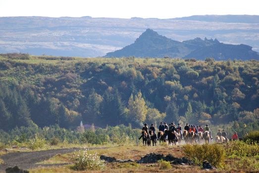 Horse Riding & Golden Circle — photo 12