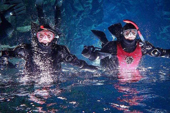 Snorkeling Silfra Tour with Pick up, photo 11 of 16