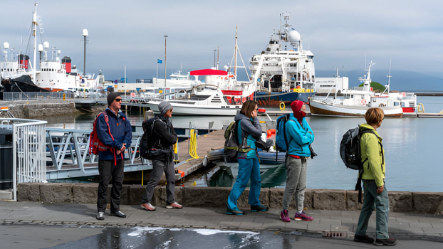 Private Reykjavik City Tour in Multi-Language Guide Options — photo 5