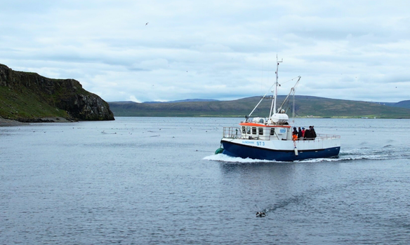 Grímsey Puffin Walk — photo 8