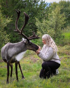 Seyðisfjörður: Puffins, Reindeer & Eastfjords Tour — photo 3