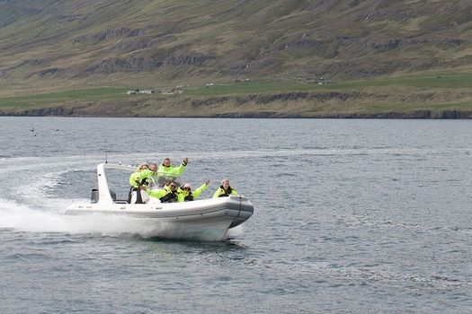 Viking Wildlife RIB Adventure — photo 5