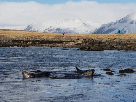 The mysterious Snæfellsnes National Park | Small Group Day Tour — photo 15