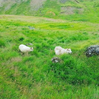 Northern Lights Hot River Hike in Reykjadalur — photo 7
