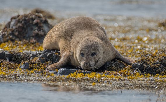 Snæfellsnes Peninsula | Private Tour | Photo Package Included — photo 13