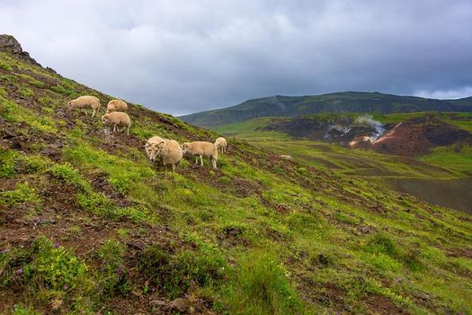 Private Luxury Jeep Tour - Game of Thrones Experience — photo 3