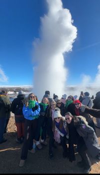 Golden Circle Private Tour & Fridheimar Farm Visit from Reykjavik — photo 8
