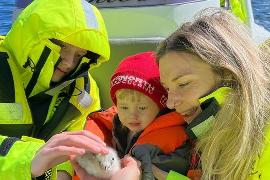 Viking Wildlife RIB Adventure — photo 15