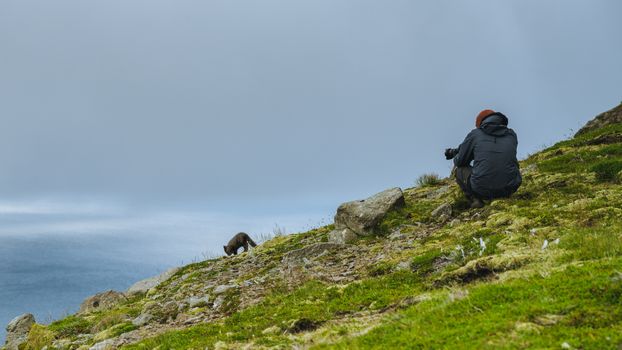 Hornvík Heights and Sights — photo 13