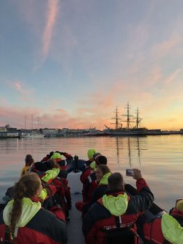Premium Whales & Midnight Sun — photo 4