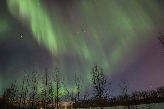 (RS) Northern Lights Classic Tour from Akureyri — photo 3