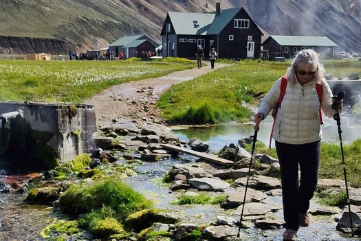 Landmannalaugar Hike and the Valley of Tears in a 4x4 Super — photo 8
