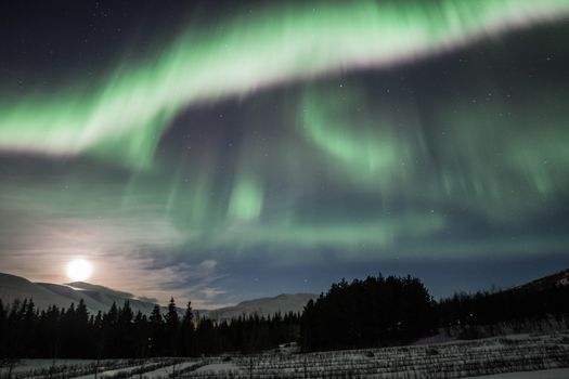 Northern Lights & GeoSea Geothermal Baths Tour (From Akureyri) — photo 5