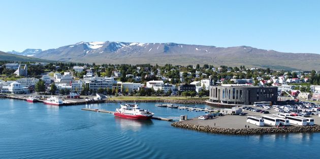 Akureyri Classic Whale Watching — photo 26
