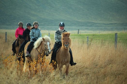 The Viking-Ride- All in One — photo 12