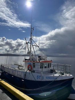 Grímsey Wildlife Tour — photo 14