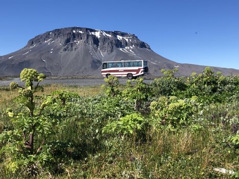 Askja Classic — photo 17