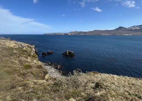 Nature Tour by RIB Boat - from Neskaupstaður- includes Páskahellir, Nípan, Rauðubjörg & Hellisfjörður — photo 11