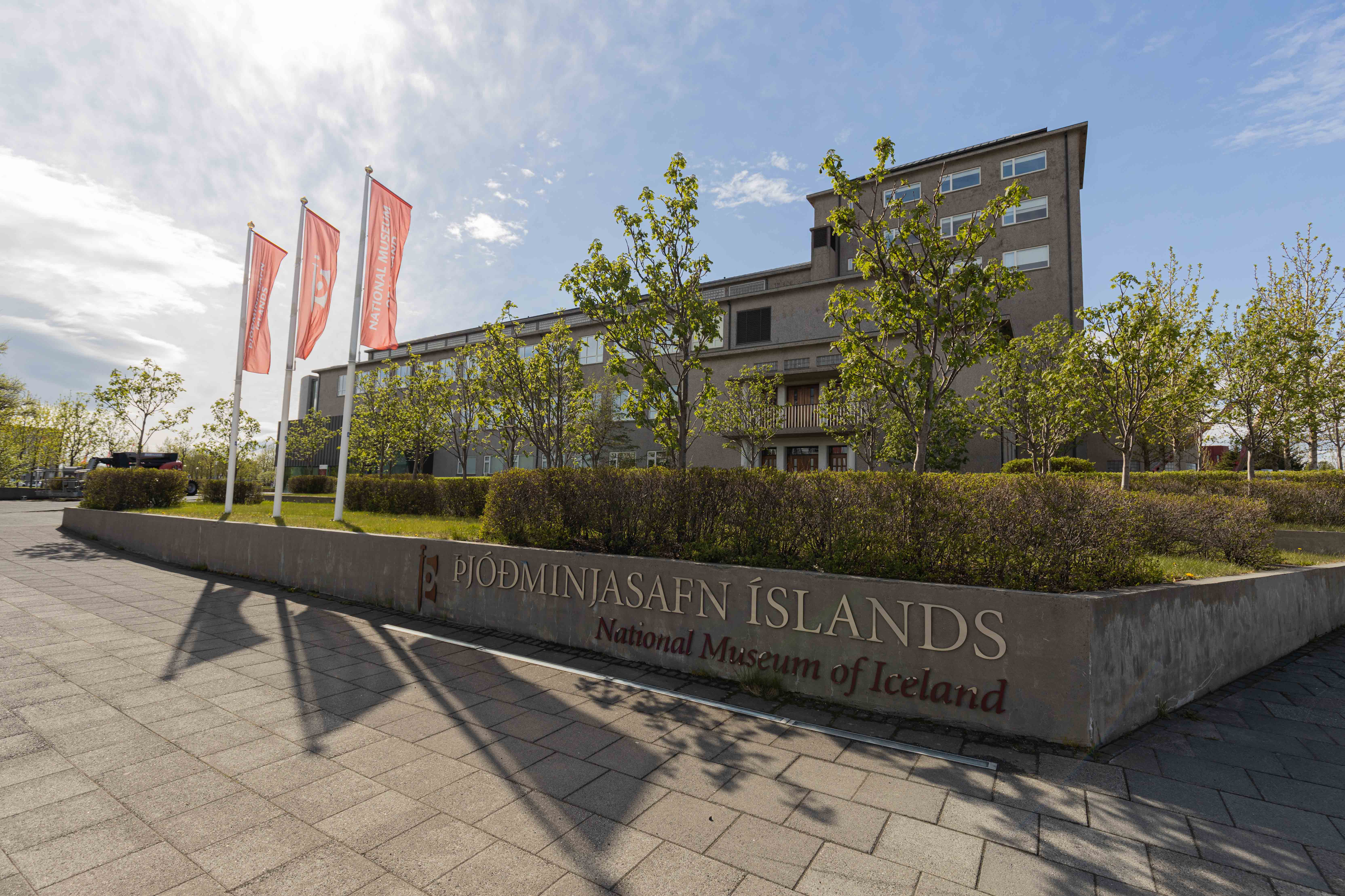National Museum of Iceland - Admission ticket