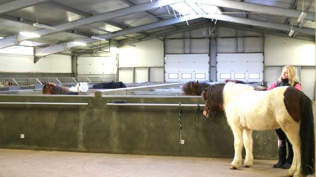Stable Visit — photo 5