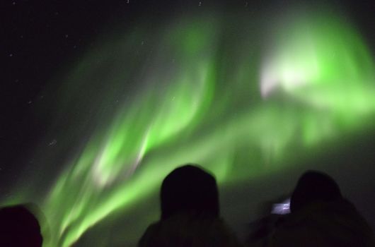 Northern Lights by Boat — photo 5