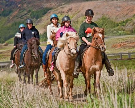 Horse Riding & Golden Circle — photo 19