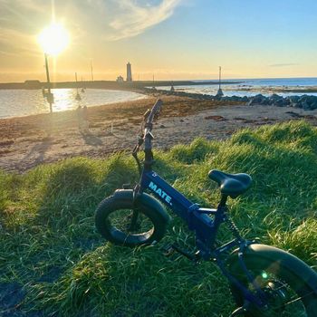 Reykjavík Loop – From the Beach to the Heart of the City and Back - Private Option